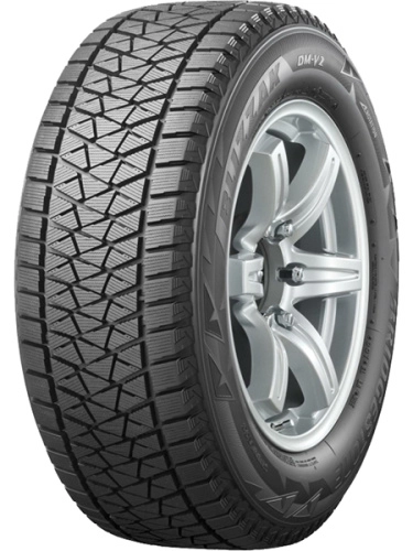 bridgestone_blizzak_dm_v2.jpg_7bdee3fbdc542291e6f48cd3e956d5fa_43488