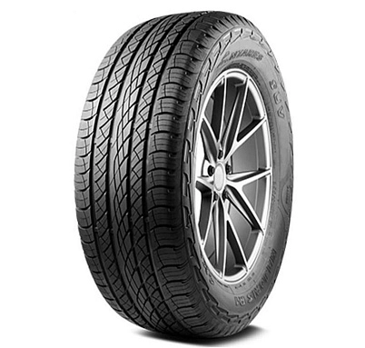 Шина Antares Majoris R1 295/35 R21 107W